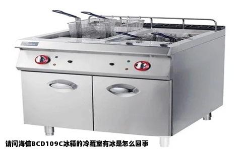 请问海信BCD109C冰箱的冷藏室有冰是怎么回事