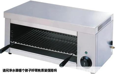 请问净水器哪个牌子好呢有质量保障吗