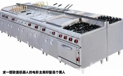 求一部欧美机器人的电影主角好像是个黑人