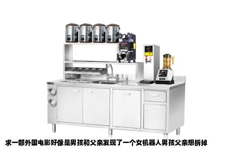 求一部外国电影好像是男孩和父亲发现了一个女机器人男孩父亲想拆掉