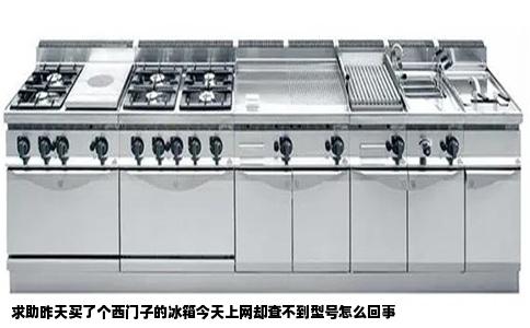 求助昨天买了个西门子的冰箱今天上网却查不到型号怎么回事