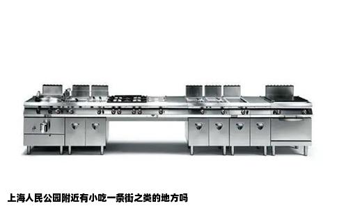 上海人民公园附近有小吃一条街之类的地方吗