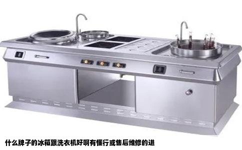 什么牌子的冰箱跟洗衣机好啊有懂行或售后维修的进