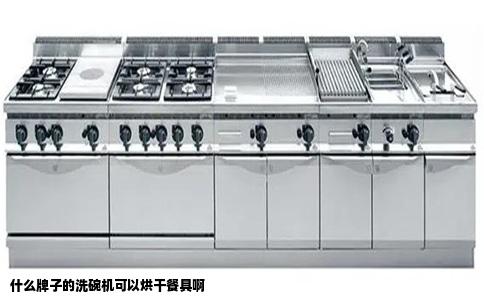 什么牌子的洗碗机可以烘干餐具啊