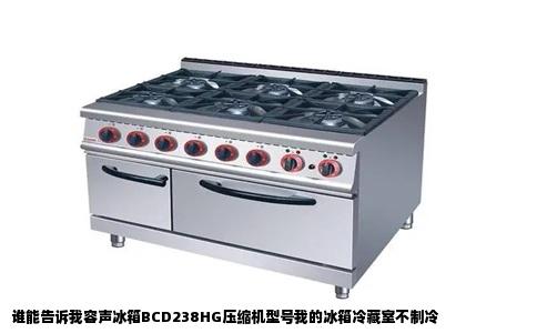 谁能告诉我容声冰箱BCD238HG压缩机型号我的冰箱冷藏室不制冷