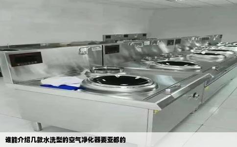 谁能介绍几款水洗型的空气净化器要亚都的