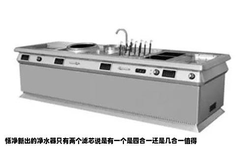 恬净新出的净水器只有两个滤芯说是有一个是四合一还是几合一值得