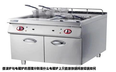 微波炉与电磁炉的原理分别是什么电磁炉上只能放铁锅吗放铝锅如何