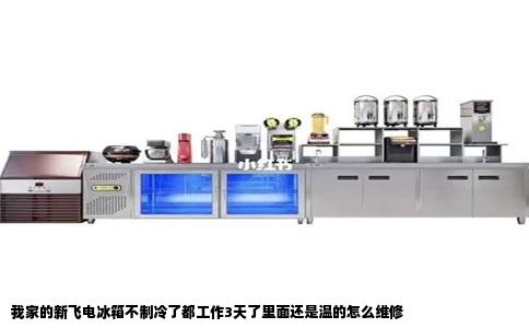 我家的新飞电冰箱不制冷了都工作3天了里面还是温的怎么维修