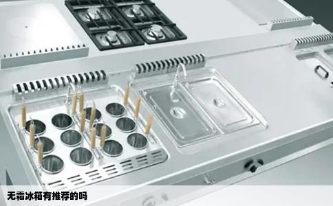 无霜冰箱有推荐的吗