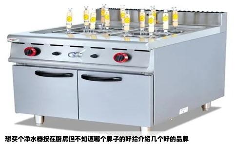 想买个净水器按在厨房但不知道哪个牌子的好给介绍几个好的品牌