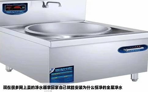 现在很多网上卖的净水器拿回家自己就能安装为什么恬净的全屋净水