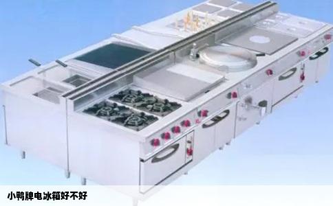 小鸭牌电冰箱好不好