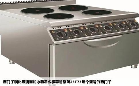 西门子钢化玻璃面的冰箱怎么样容易裂吗23F73这个型号的西门子