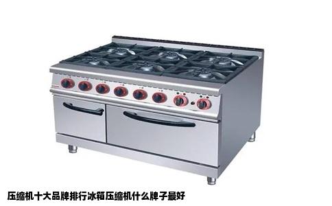 压缩机十大品牌排行冰箱压缩机什么牌子最好