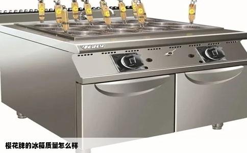 樱花牌的冰箱质量怎么样