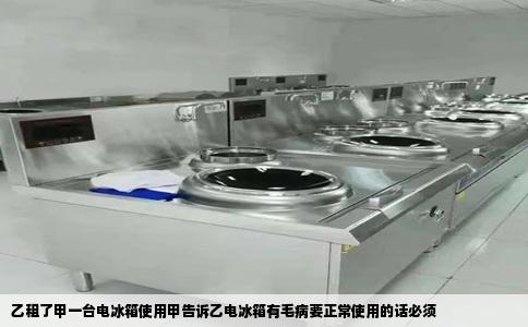 乙租了甲一台电冰箱使用甲告诉乙电冰箱有毛病要正常使用的话必须