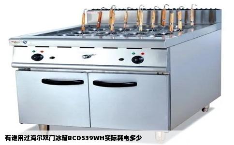 有谁用过海尔双门冰箱BCD539WH实际耗电多少