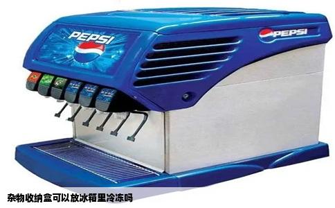 杂物收纳盒可以放冰箱里冷冻吗